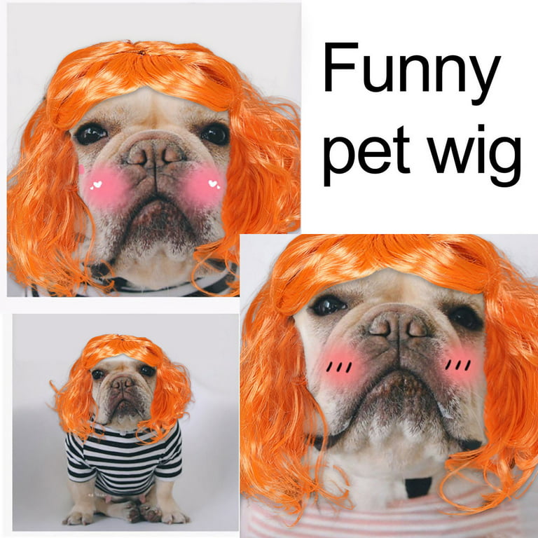 MTLEE 6 Pieces Wigs for Dogs Funny Dog Wig Retro Pet Algeria