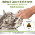 thumbnail image 4 of Four Paws Healthy Promise Cat Hairball Control Soft Chews 90 Count 4.27 oz., 4 of 6