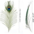 thumbnail image 3 of 40PCS Peacock Feathers 10-12 Inch, Green Peacock Eye Tail Feathers and Sword Feathers for DIY Crafts Art Halloween Mardi Gras Costume Wedding Home Party Christmas Decorations, 3 of 7