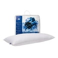 thumbnail image 1 of Quilted White Goose Feather Body Pillow, 1 of 8