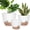 White, variant on West Bay 12" 10" 9" Large Self Watering Plant Pots, 3 Pack Flower Pots Planters with Multi Mesh Drainage Holes for Indoor Outdoor Garden Plants and Flowers (White)
