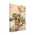 thumbnail image 4 of Canvas Wall Art - Krista Broadway 'Borjas' Wall Art for Living Room, Bedroom, or Office Décor by Trademark Fine Art - 22 x 32 Inches, 4 of 4
