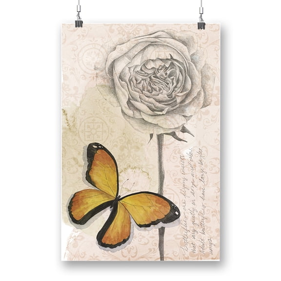 Shadow Box Butterfly B Poster - Grace Popp Designs,