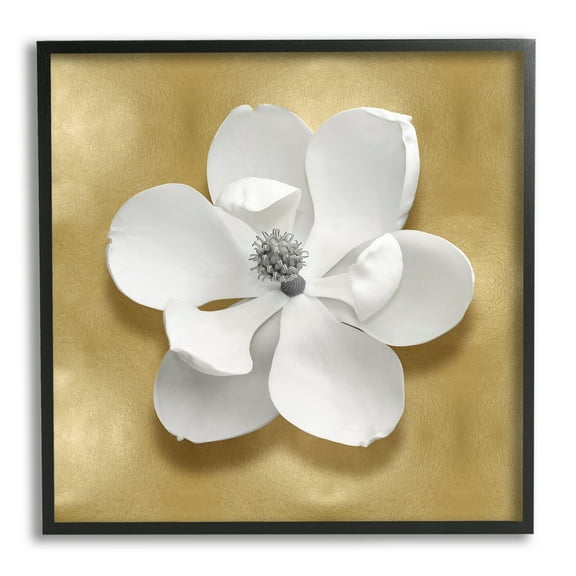 Stupell Industries White Apple Blossom Botanical & Floral Painting Black Framed Art Print Wall Art, 12 x 12