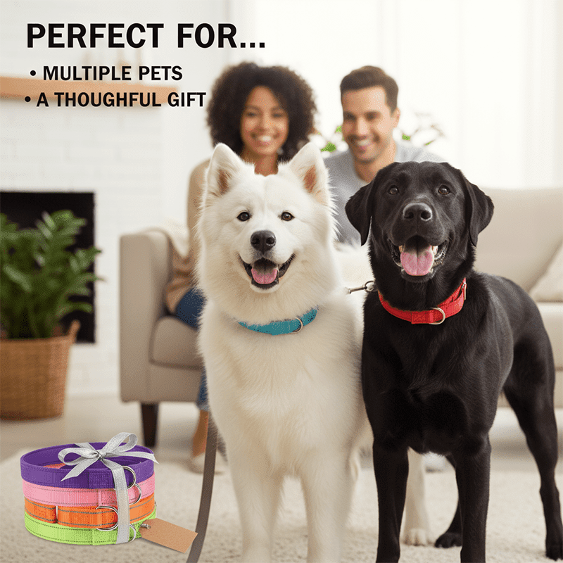 12 Pcs Reflective Martingale Dog Collars Adjustable Nylon Training Collars with Metal Buckle Soft Lined No Slip Pet Walking Gear for Medium Dogs Easter Gift for Pet Owners