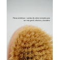 thumbnail image 2 of Cepillo Corporal en Seco, 2 of 3