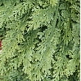 thumbnail image 5 of 2Pcs 9 Ft Christmas Cedar Garland, Realistic Faux Pine Garlands, Green Artificial Greenery Garland for Winter Home, Mantle, Fireplace, Indoor, Outdoor Christmas Decorations, 5 of 6