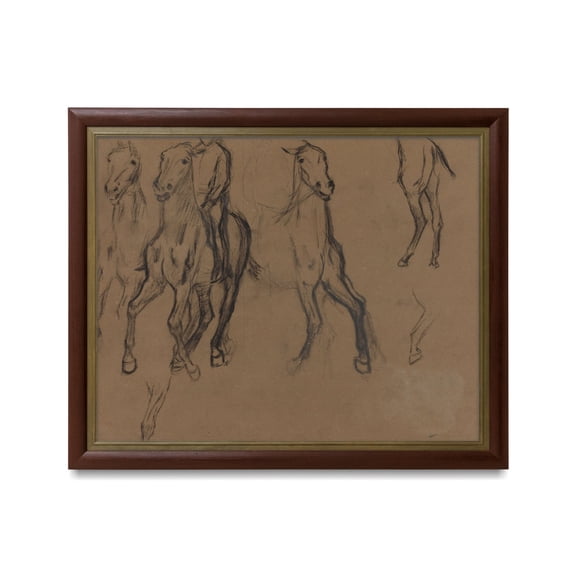 Vintage Horse Anatomy Sketch Equestrian Art Print Poster, Size 8x12 UNFFRAMED F03.1.7l1152