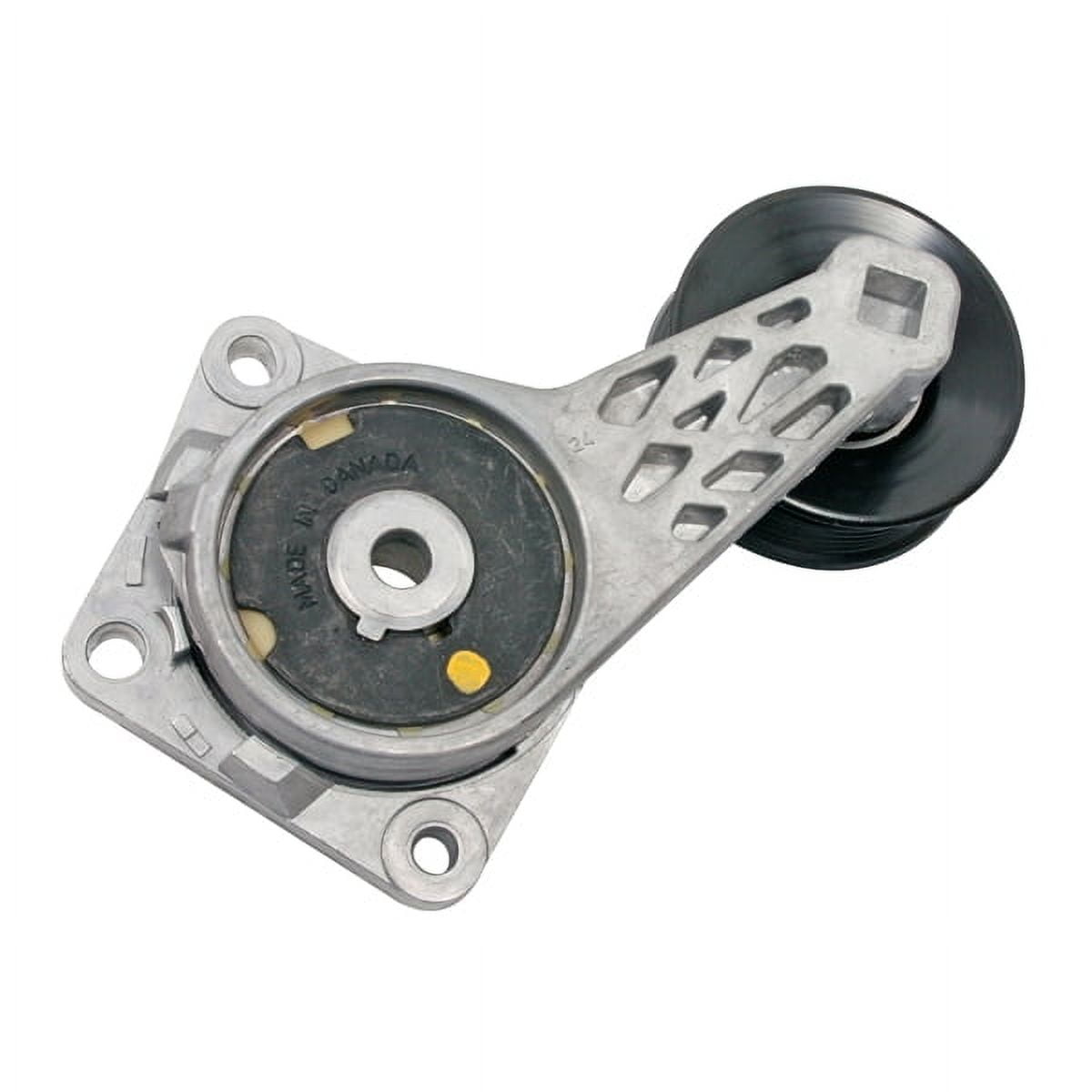 Continental 49352 Multi-V