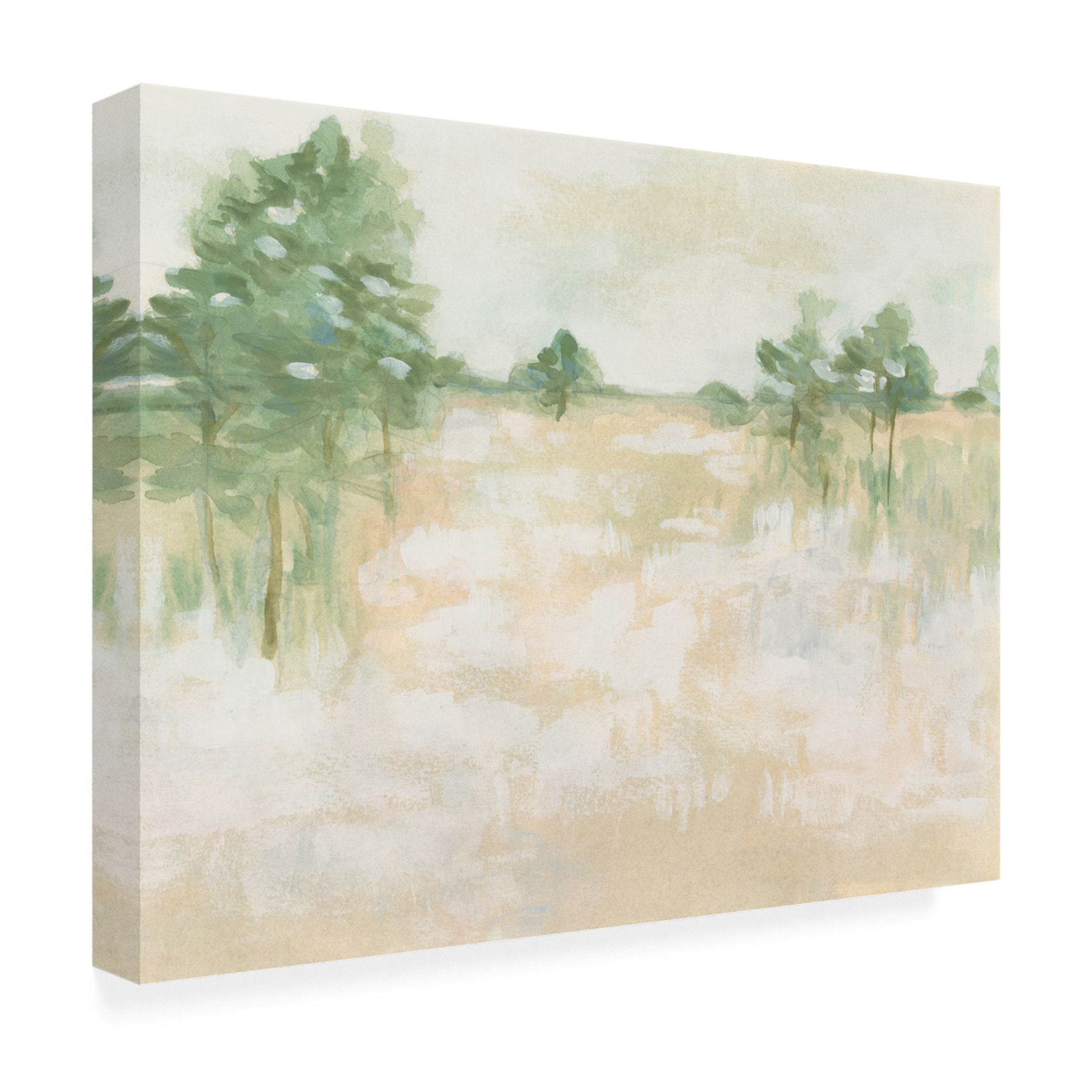 Trademark Fine Art June Erica Vess  Soft Focus Field I Canvas Wall Art