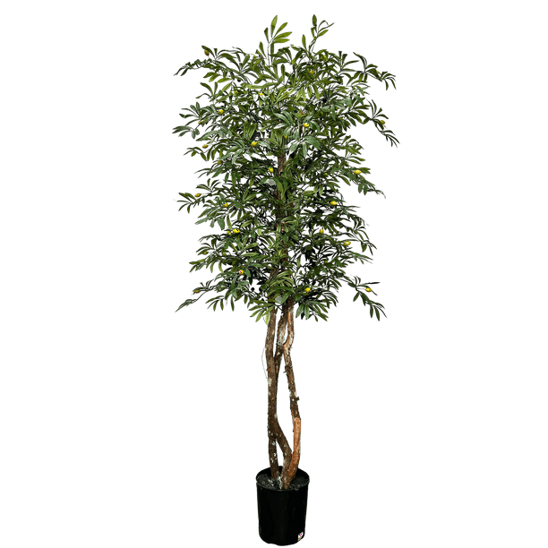 Mediterranean 6' Deluxe Artificial Olive Tree - Walmart.com