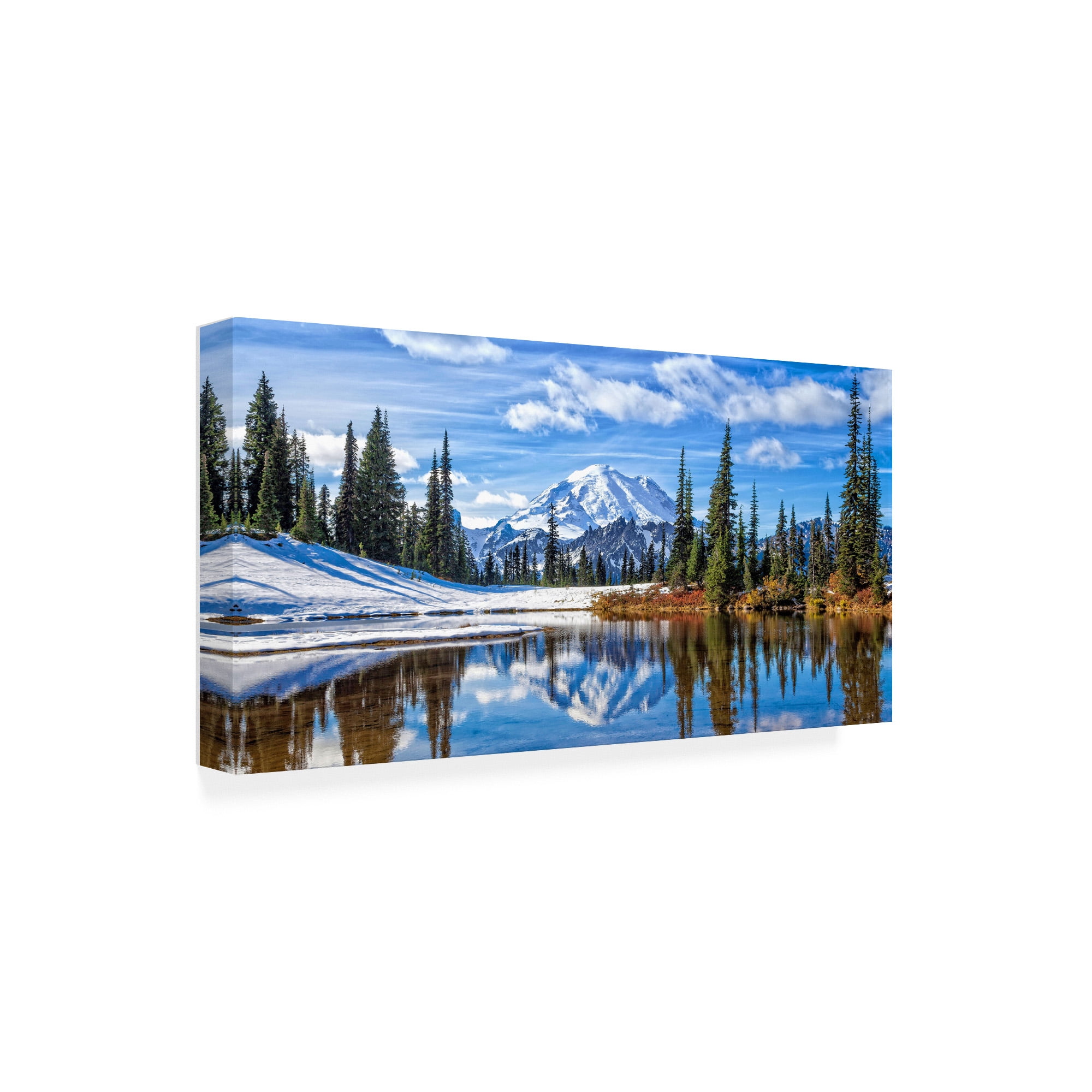 Trademark Fine Art 'Mt. Rainier Vista' Canvas Art by Michael Broo