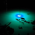 thumbnail image 5 of Fishing Squid Underwater Fish Lure Light Lamp outdoor fishing Accessories Mini LED Flashing Deep Drop, 5 of 12