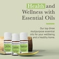 thumbnail image 4 of Pranarom - Top 3 Essential Oil Kit (3-Pack of 5ml) - Lavender, Tea Tree, and Peppermint Essential Oils - 100% Pure Essential Oil | USDA and ECOCERT Certified Organic, 4 of 4