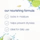 thumbnail image 5 of Champú Dove Nourishing Secrets Hydrating Coco 350 ml x6, 5 of 7