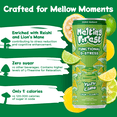 thumbnail image 4 of Melting Forest Yuzu Lime D-Stress Mushroom Energy Drink, Adaptogen, Reishi, Zero Sugar, 12 Pack, 4 of 10