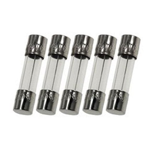 Fusible Witonics 12,5 A 250 V de acción lenta 5 x 20 mm, paquete de 5
