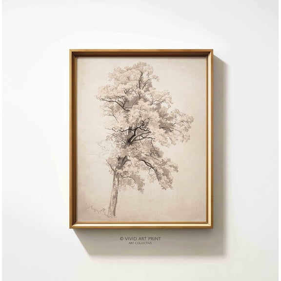 Antique Botanical Tree Study Wall Art, Vintage Rustic Sketch Home Decor, Vivid Art Print Wh-712 Wall Art, Modern Wall Decor, 8x12 UNFRAMED