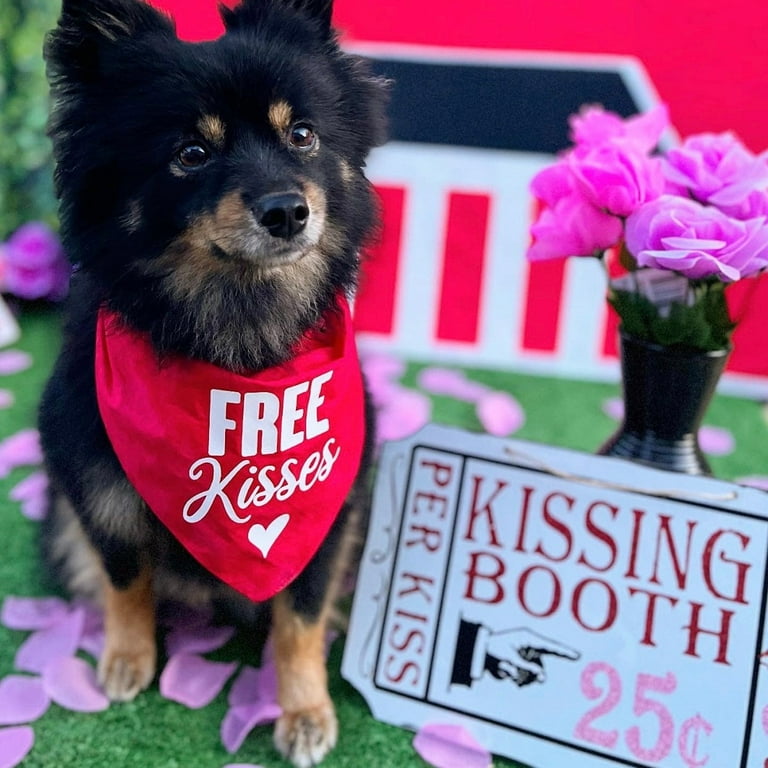 Free kisses cheap dog bandana