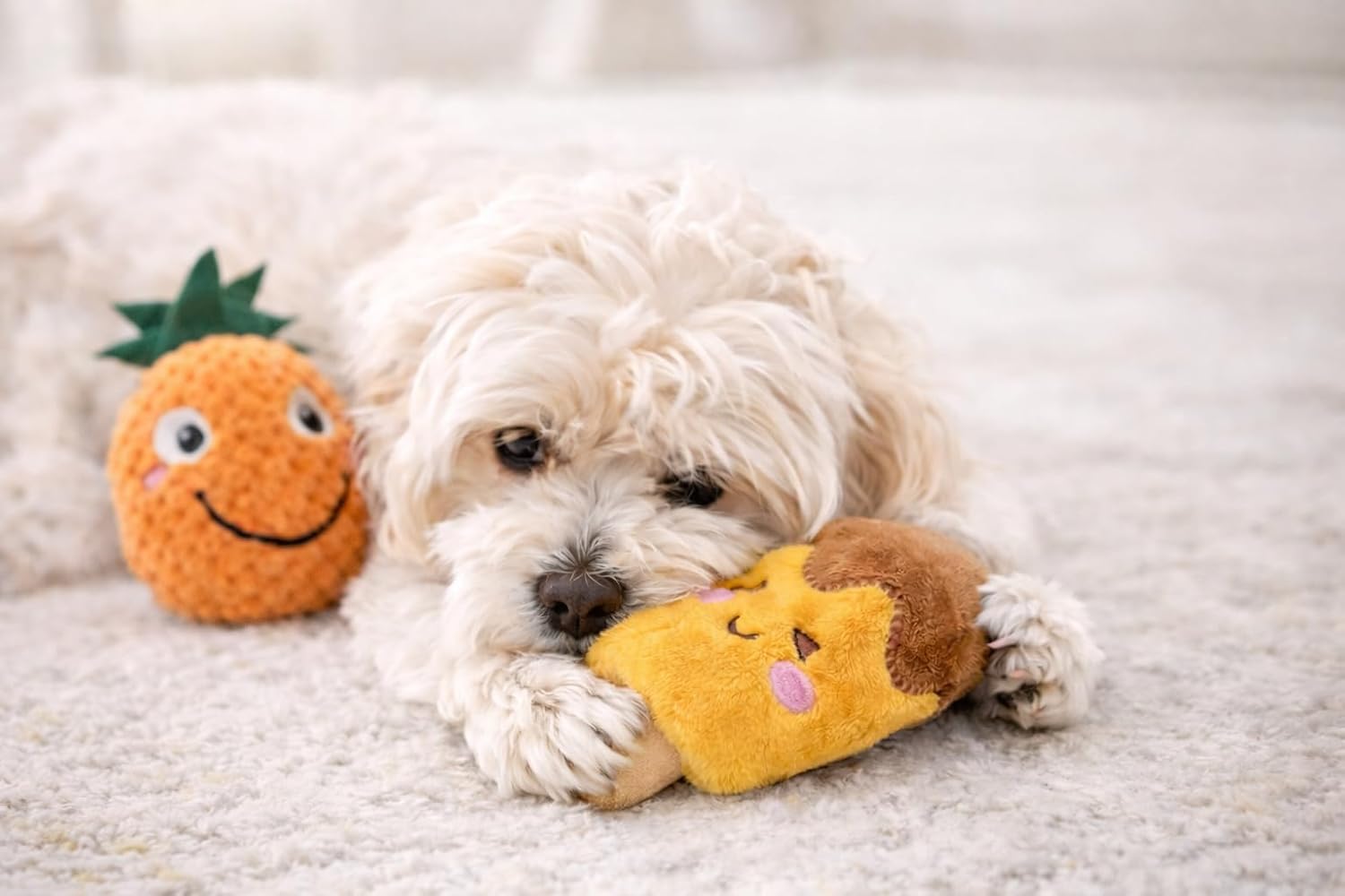 HTOY 18 Pack Dog Squeaky Toys Cute Stuffed Pet Plush Puppy Chew for Small Medium Pets - Bulk