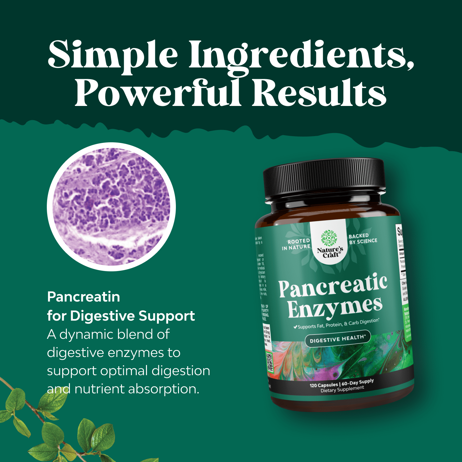 Natures Craft Pancreatin Digestive Enzymes Supplement for Gut and Digestive Health, 120 Capsules