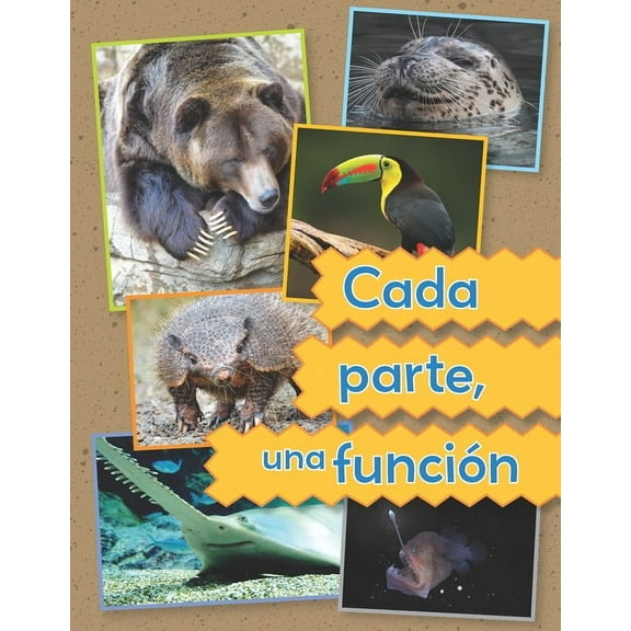 Fácil de Leer / Easy to Read Cada Parte, Una Función, (Paperback)