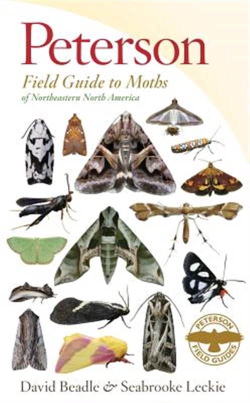 Pre-Owned Peterson Field Guide to Moths of Northeastern North America (Paperback) 0547238487 9780547238487