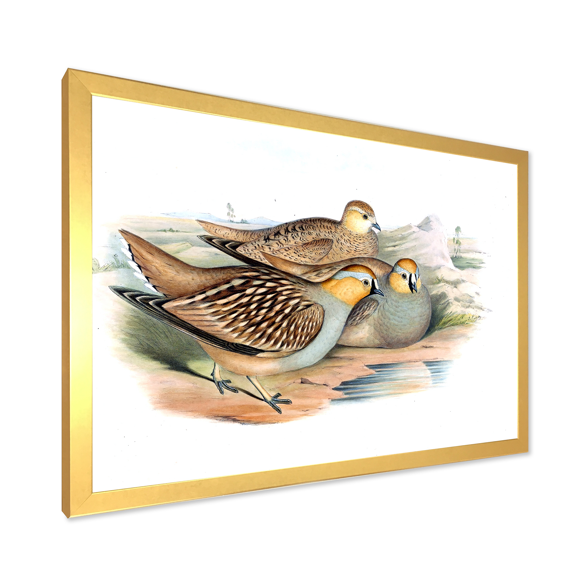 Designart 'Ancient Birds In The Wild III' Traditional Framed Art Print