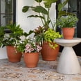 thumbnail image 3 of Bloem Colonnade 12" Round Plastic Planter, Indoor/Outdoor Garden Pot with Embossing, Terra Cotta, 3 of 5