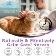 thumbnail image 2 of Cat Pheromones Calming Diffuser, Cat Calming Diffuser Starter Kit with Diffuser Head and 2pcs 48ml Vial, Efficient Relieve Anxiety Stress, 60 Days Use, 2 of 8