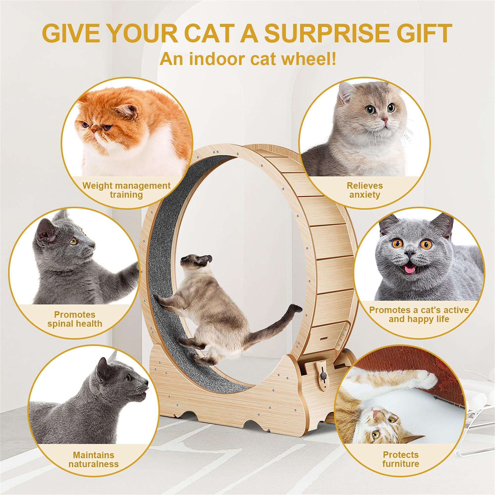 Kadyn 45" Cat Exercise Wheel for Indoor Cats, Large Cat Running Wheels, Cat Treadmill Wheel with Locking Mechanism for Cat's Healthy, Beige