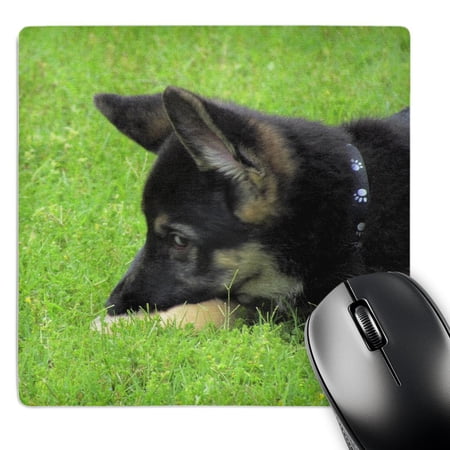3dRose  German Shepherd Puppy  MousePad price history on PriceWatchPro