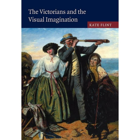The Victorians and the Visual Imagination, (Paperback)