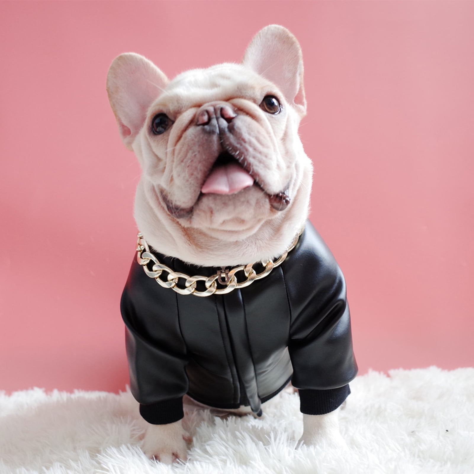 Cheers Pet Coat Zipper Design Windproof Fashion Dog Faux Leather Jacket Coat For French Bulldog Black S