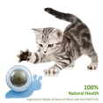 thumbnail image 3 of Cat Catnip bola giratoria limpieza dientes molar juguetes interactivos para mascotas (azul) Tmvgtek Libre de BPA, 3 of 6