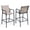 Espresso, variant on Crestlive Products Outdoor Metal Bar Stools Chairs (Set of 2) in Beige Finish