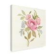 thumbnail image 2 of Trademark Fine Art 'Petals and Blossoms IV' Canvas Art by Silvia Vassileva, 2 of 4