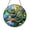 Acrylic 3.5 Inch, variant on Reptile Lizard Stained Glass Suncatcher Window Hanging Funny Glasses Art Whimsical Nature Theme Decorative Glass Panel