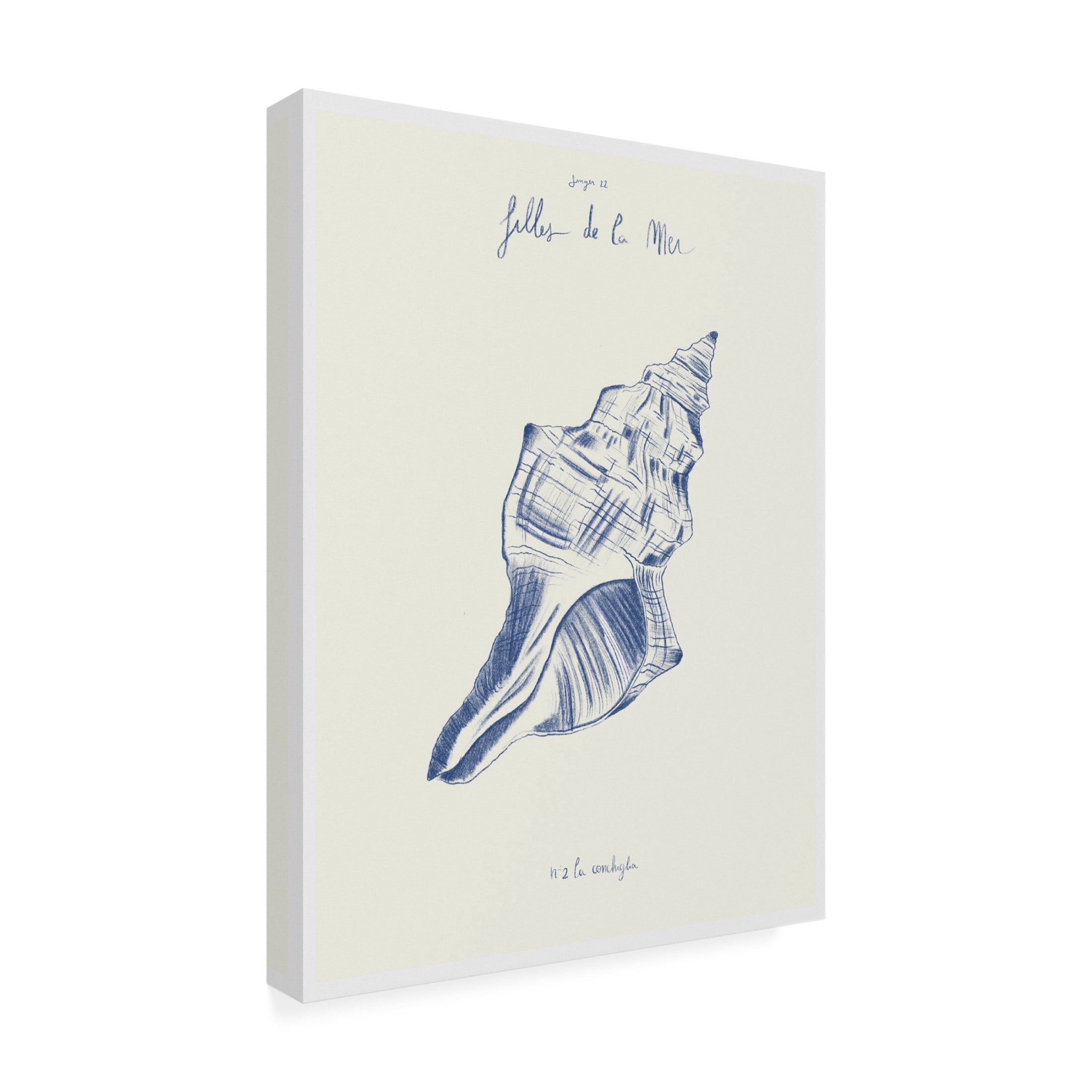 Trademark Fine Art Giulia Mora Filles de la mer n.2 La conchiglia Canvas Wall Art