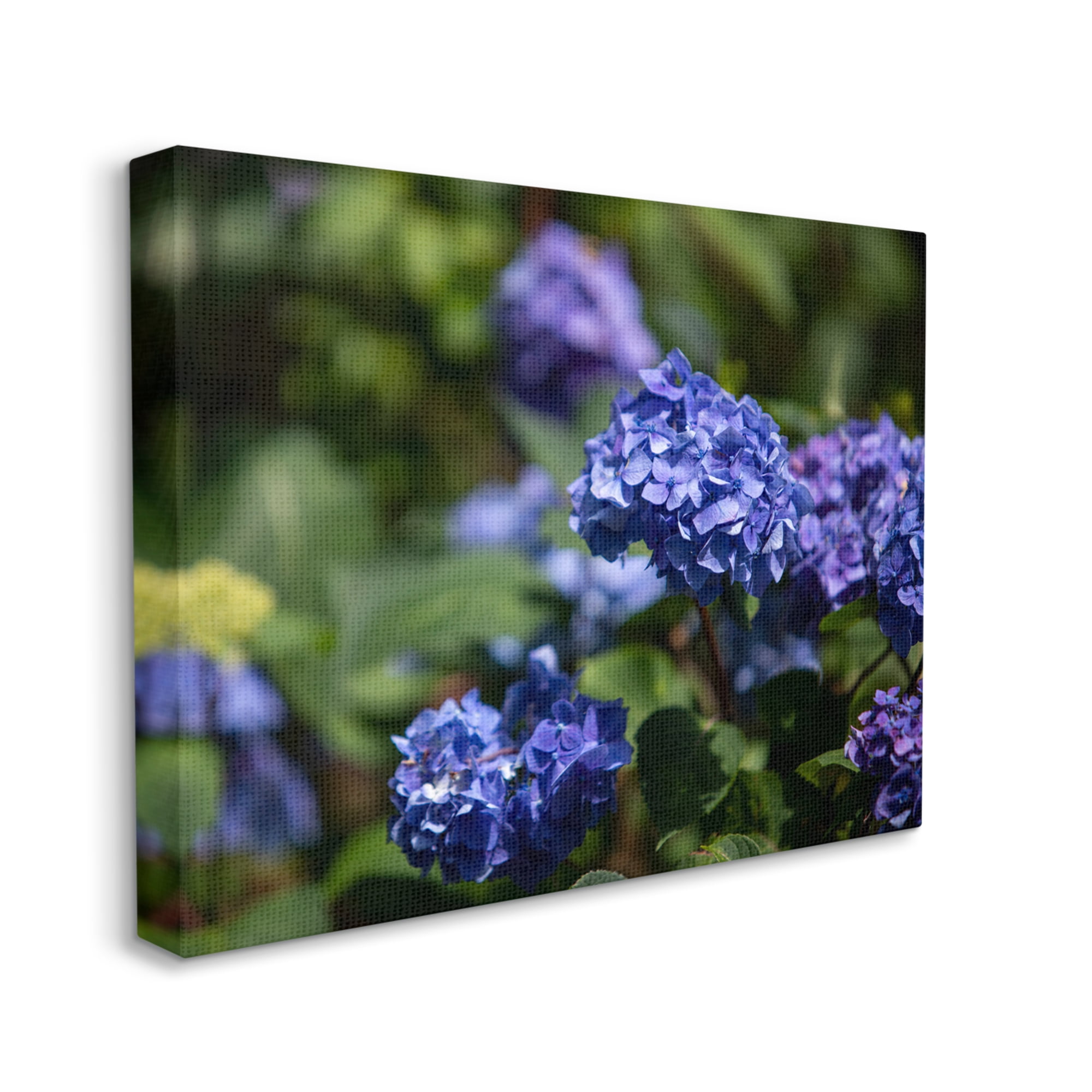 Stupell Industries Purple Hydrangea Photography Botanical & Floral Photography Gallery Wrapped Canvas Print Wall Art, 48 x 36