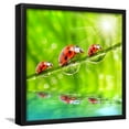 thumbnail image 1 of Funny Picture Of The Ladybugs Family Running On A Grass Bridge Over A Spring Flood, Animals Botanical Scenic Framed Art Print Wall Art by Kletr Sold by Art.Com, 1 of 3