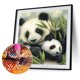thumbnail image 1 of Cuadros Decorativos 5D diamante Panda amor pintura DIY punto de cruz costura artesanía decoración del hogar JShteea Nuevos Originales, 1 of 7