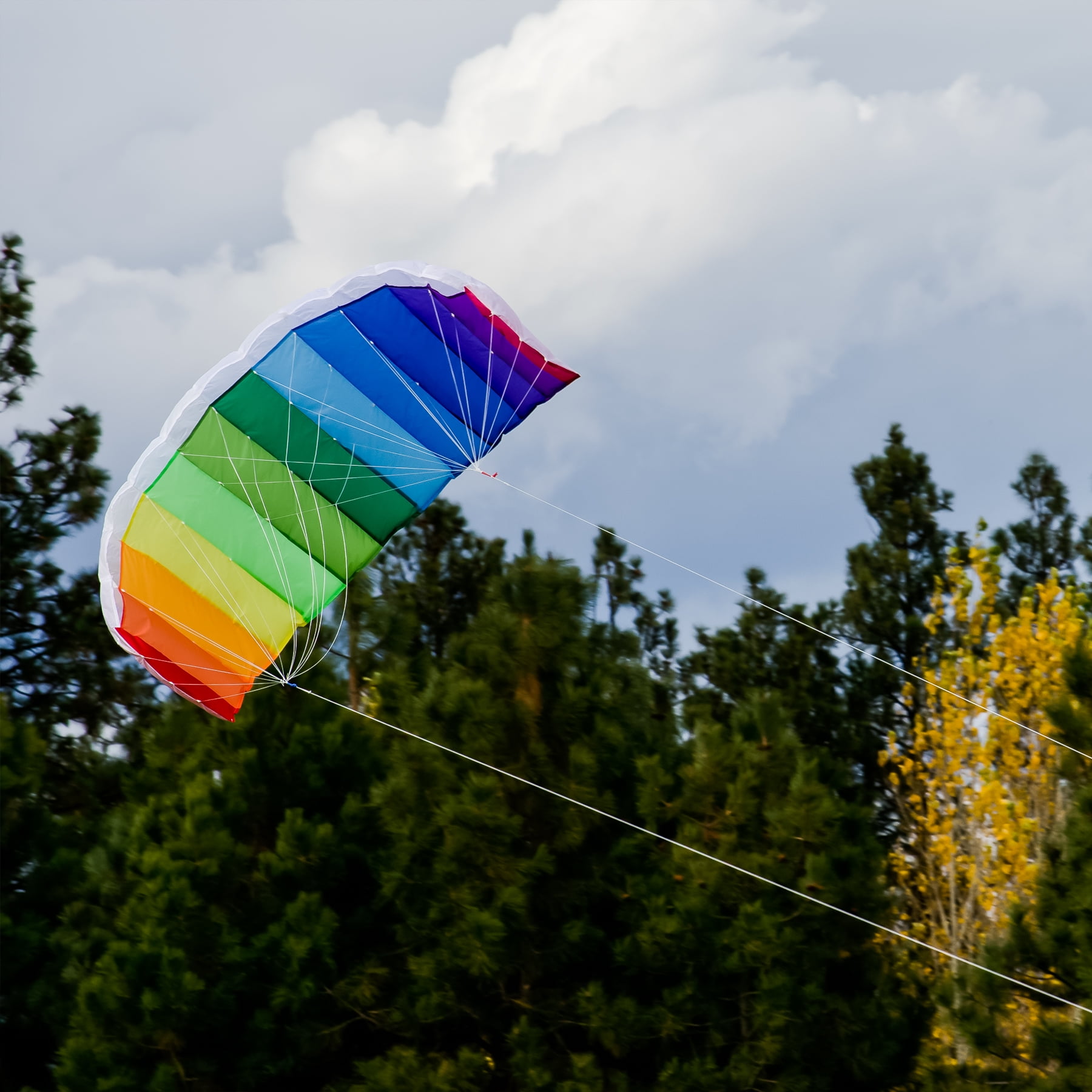 In the Breeze 2973 — Sport Air Foil Kite, 62-Inch — Colorful, Easy Flying Dual Line Sport Kite — Great for Beginners