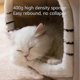 thumbnail image 4 of Luxury Foldable Warm Soft Dog House Cat Nest with Cushion Removable and Non-Slip Bottom for Indoor Use Size S, 4 of 5