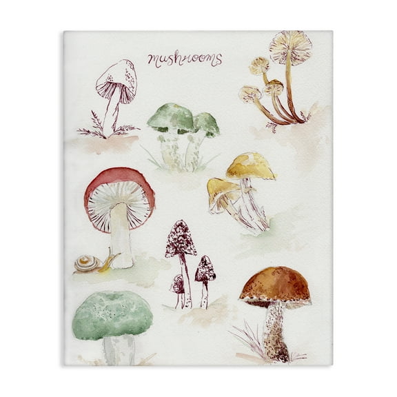 Stupell Industries Types Of Mushrooms Botanical & Floral Painting Gallery Wrapped Canvas Art Print Wall Art, 16 x 20
