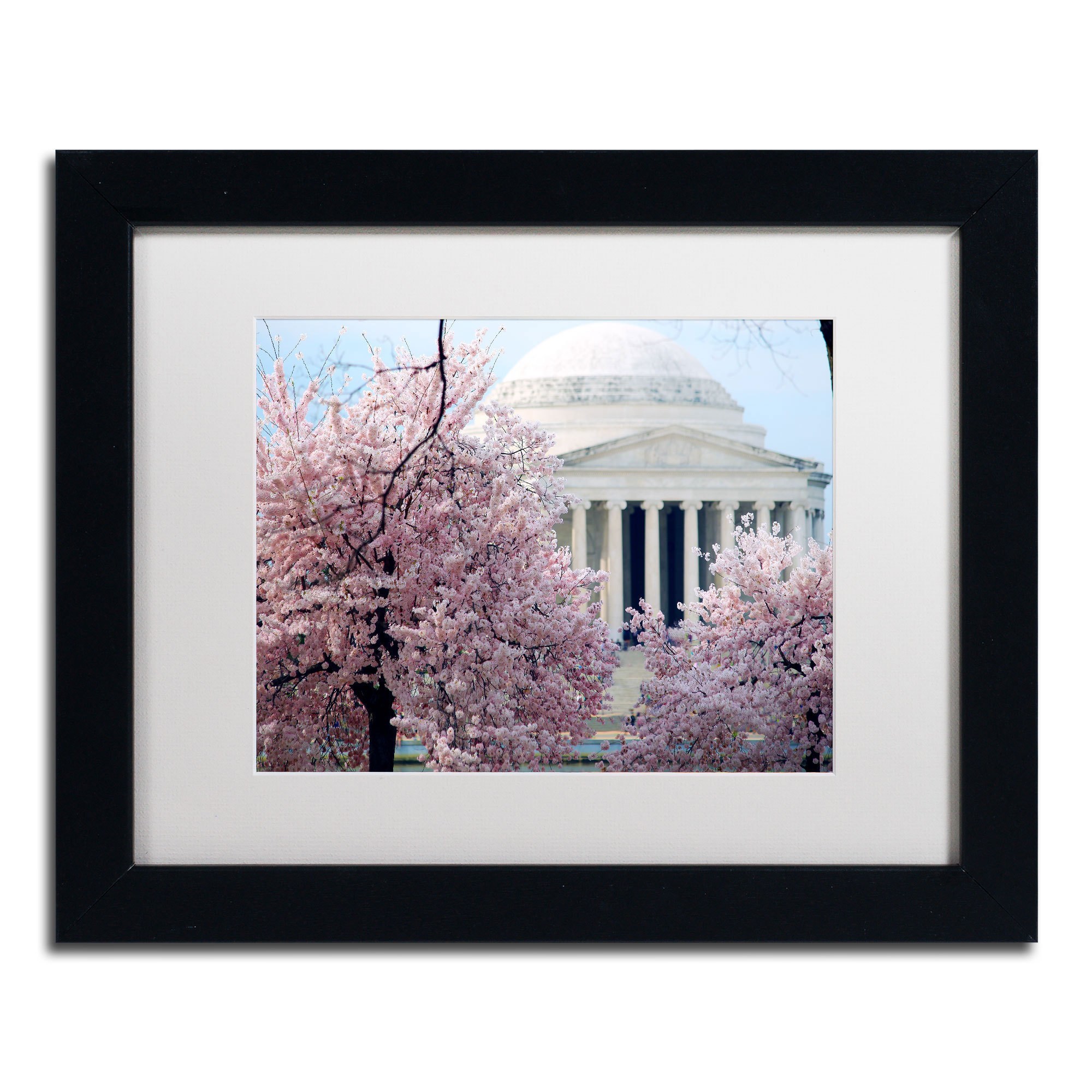 Trademark Fine Art "Cherry Blossoms 2014-7" Canvas Art by CATeyes, White Matte, Black Frame
