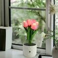 thumbnail image 1 of Desk Lamp LED Lamp Artificial Flower Small Night Light ,Fake Bouquet 6 Heads For Bedroom Bedside Lamp Ambient Light Decor,Desktop Lighting Night Light., 1 of 8