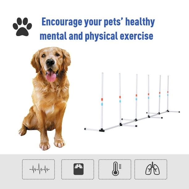 PawHut Kit d'entraînement d'agilité pour chien Parcours d'obstacles  Équipement d'exercice Poteaux de tissage Kit de cours d'agilité pour chien  intérieur/extérieur avec sac de transport 