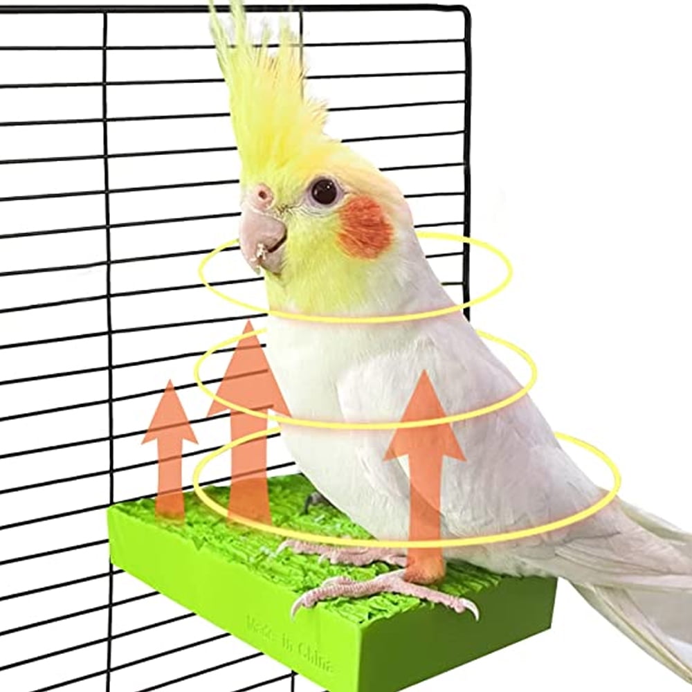Dsseng Bird Heater for Cage Bird Perch Stand Warmer Snuggle Up for