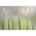 thumbnail image 3 of Van Son, Greetje 18x13 Black Modern Framed Museum Art Print Titled - Harmony, 3 of 5